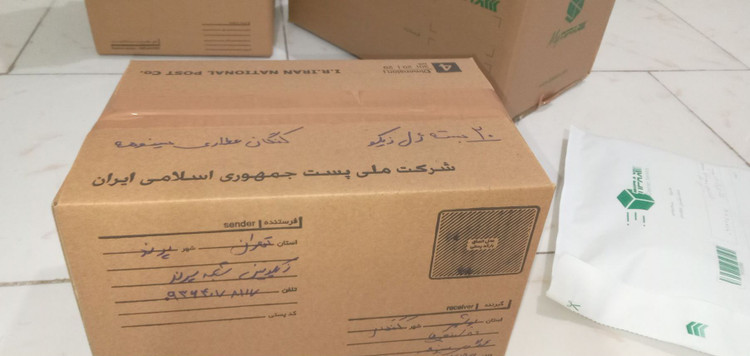 ژل سوسک کش زیکو پلاس مدل غیرسمی وزن 100 گرم